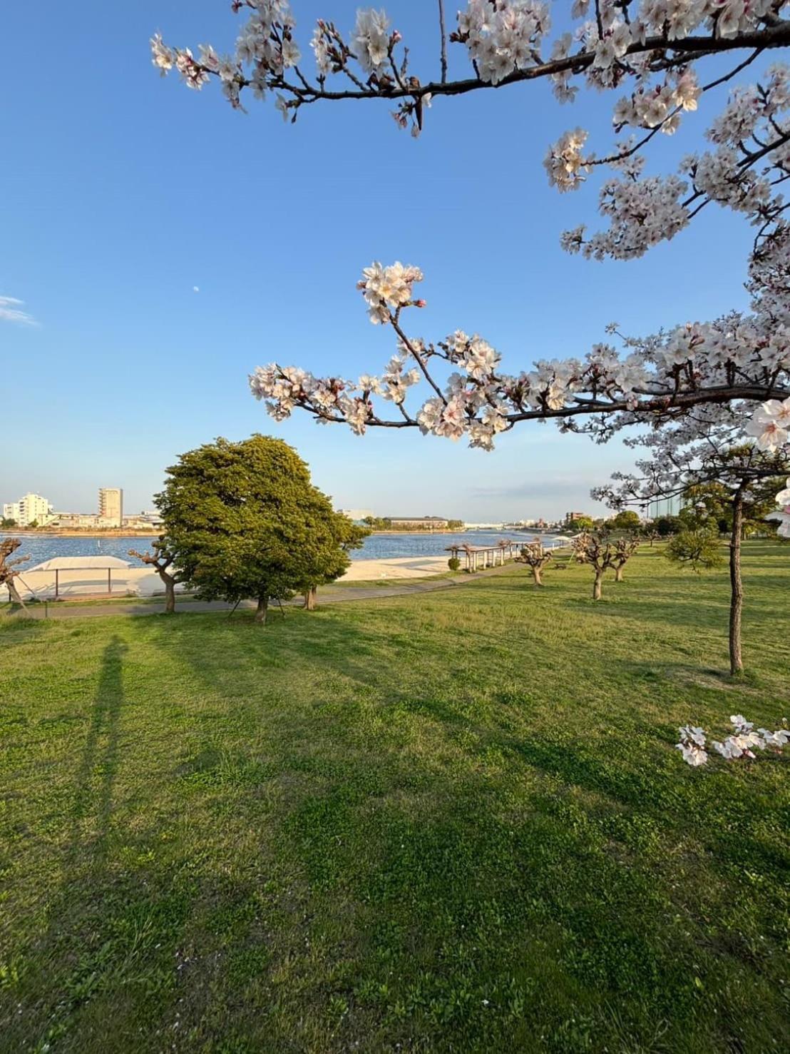 Vacation Inn Heiwajima I Tokio Zewnętrze zdjęcie