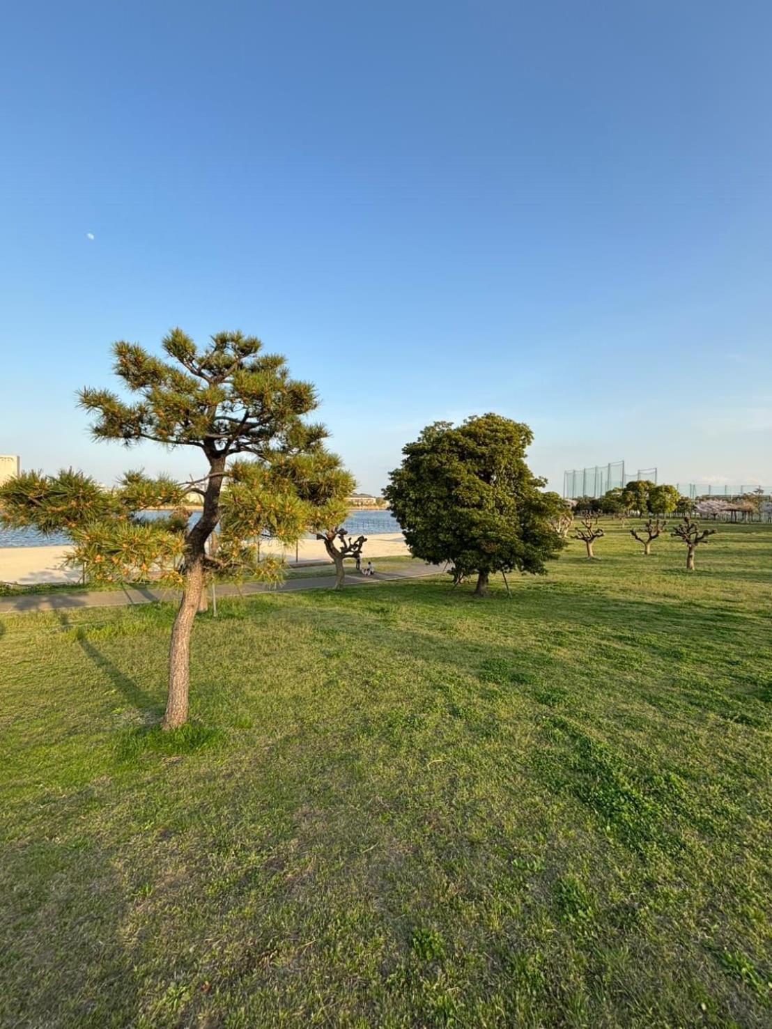 Vacation Inn Heiwajima I Tokio Zewnętrze zdjęcie